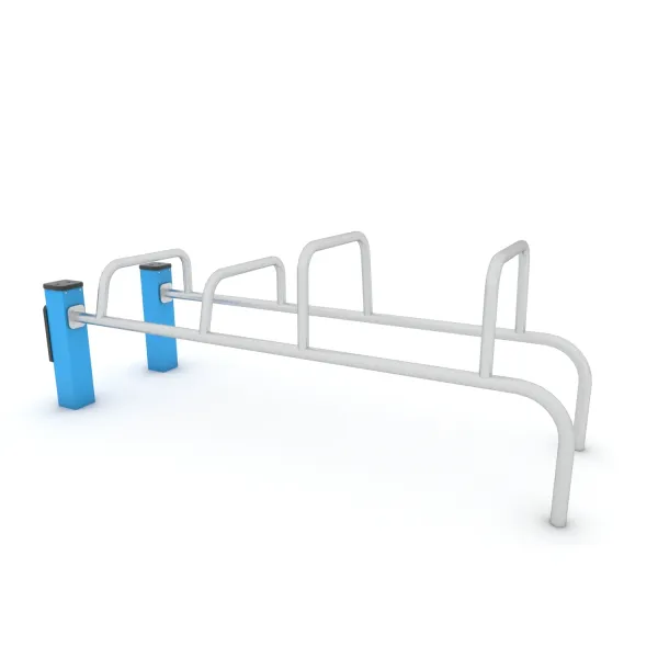 Workout Calisthenics 5