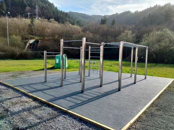 Workout Calesthenics 1